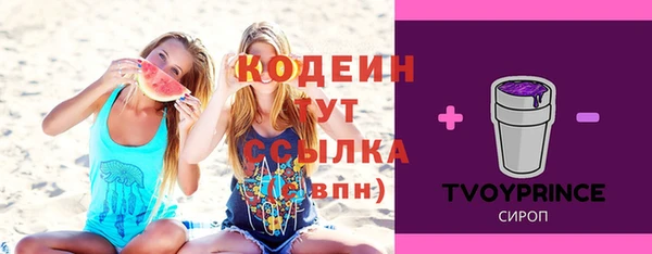 хмурый Армянск