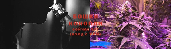 СК Аркадак