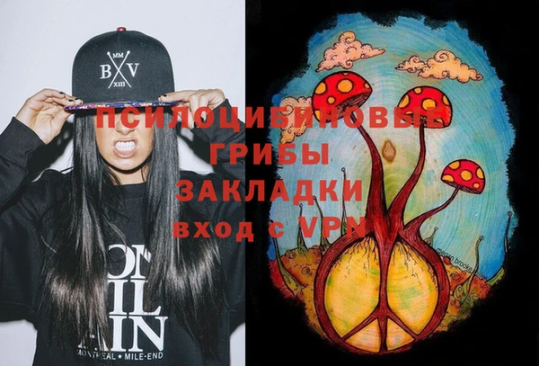 mix Арсеньев
