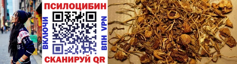 blacksprut   где найти   Удачный  Галлюциногенные грибы мухоморы 